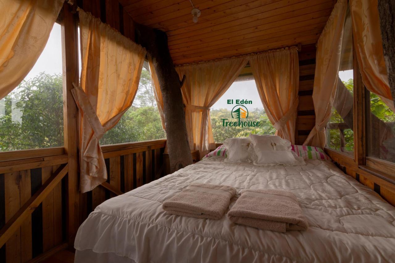 Eden Treehouse Villa Mindo Kültér fotó