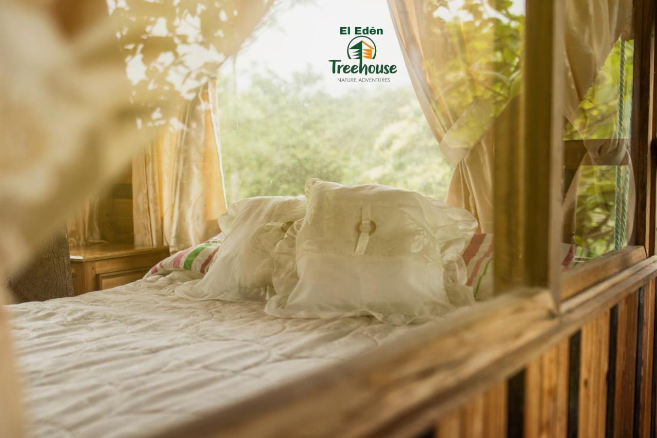 Eden Treehouse Villa Mindo Kültér fotó