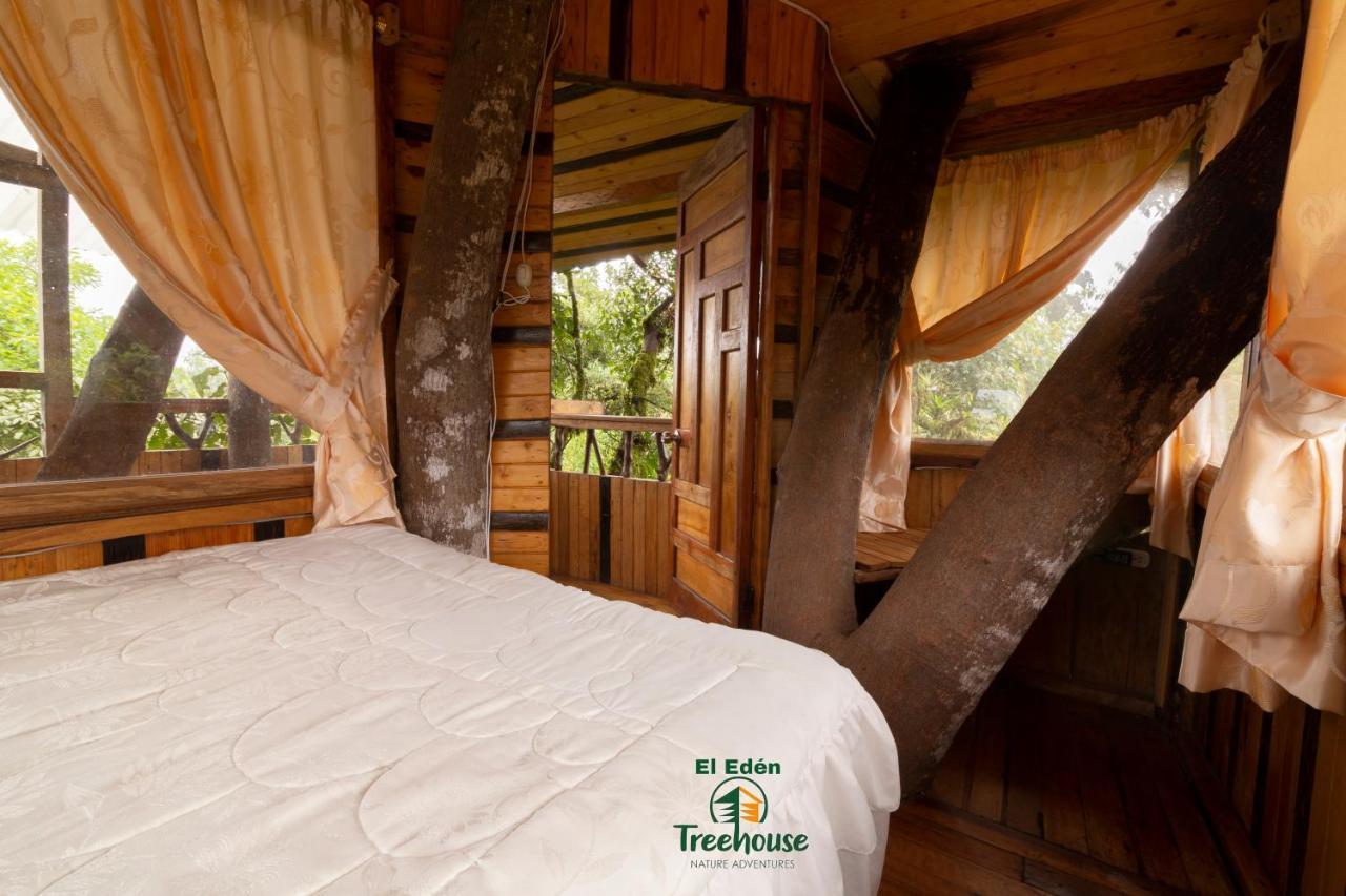 Eden Treehouse Villa Mindo Kültér fotó