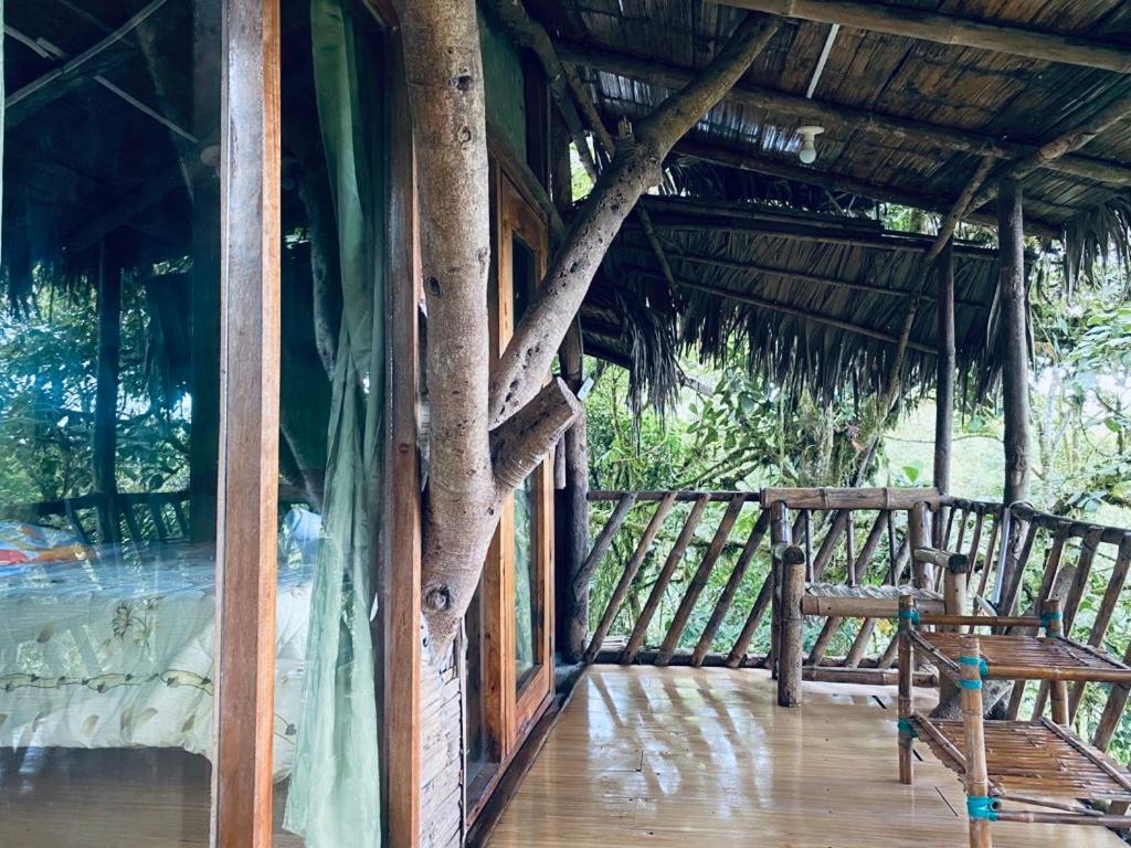 Eden Treehouse Villa Mindo Kültér fotó