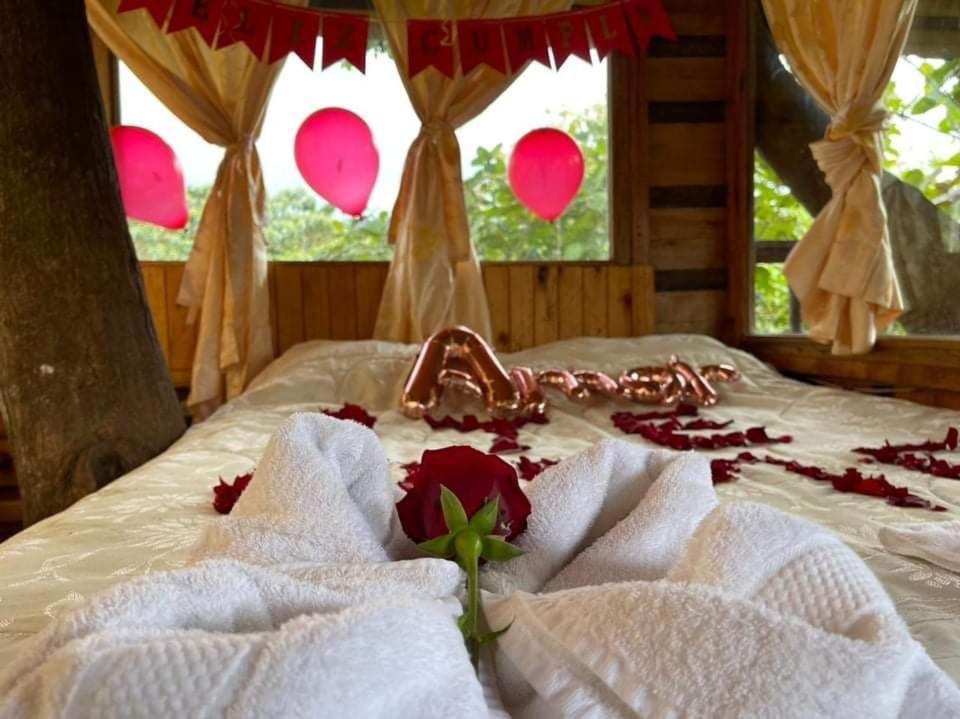 Eden Treehouse Villa Mindo Kültér fotó