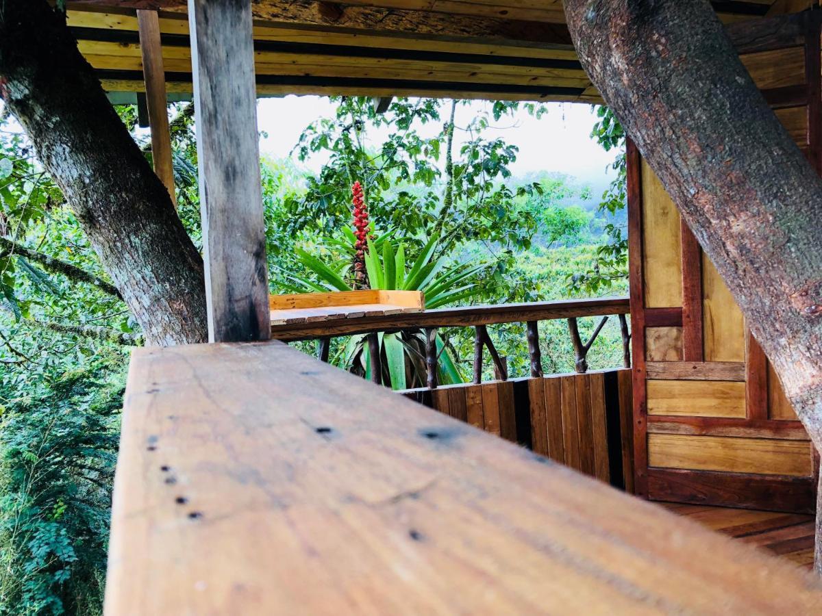 Eden Treehouse Villa Mindo Kültér fotó