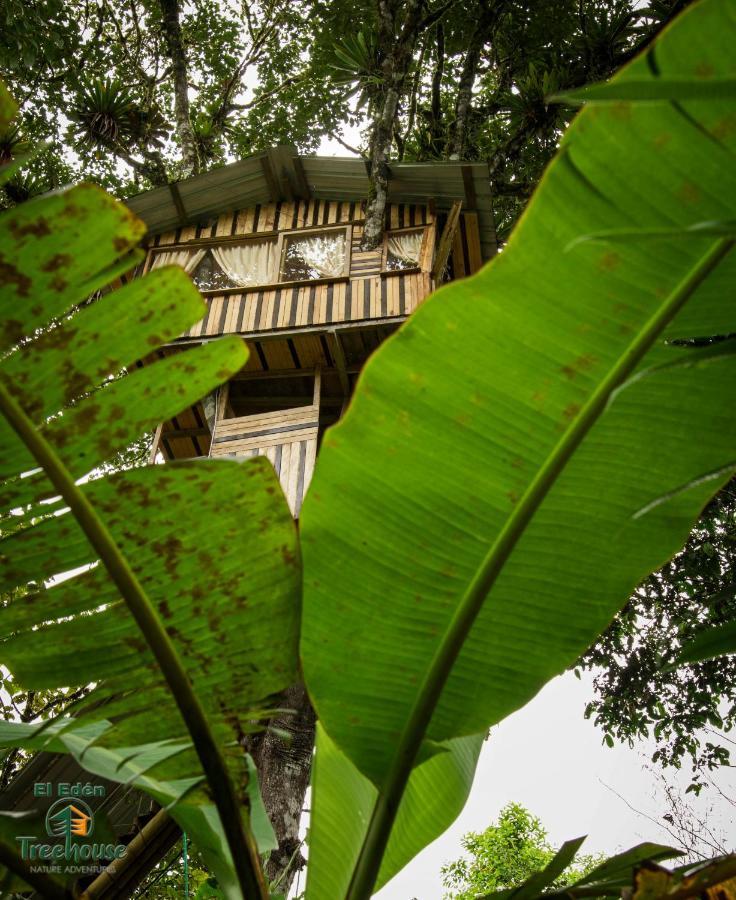 Eden Treehouse Villa Mindo Kültér fotó