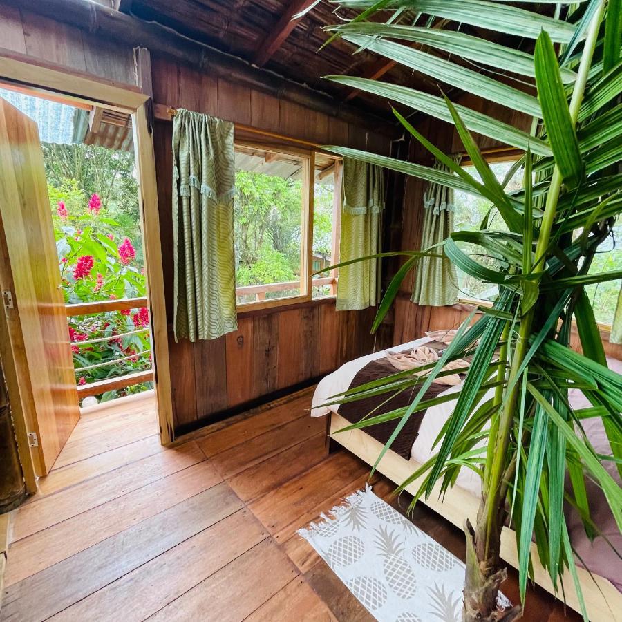 Eden Treehouse Villa Mindo Kültér fotó
