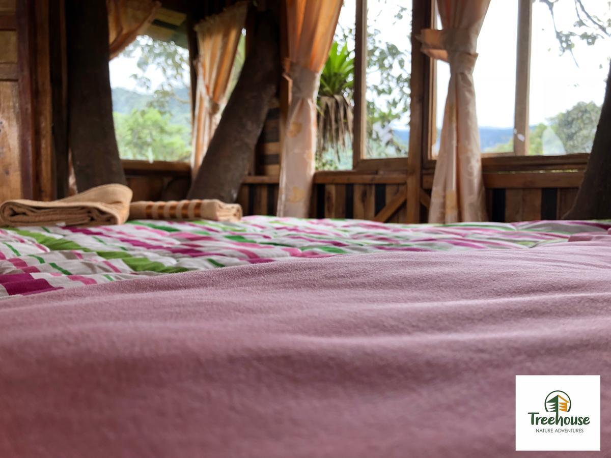 Eden Treehouse Villa Mindo Kültér fotó