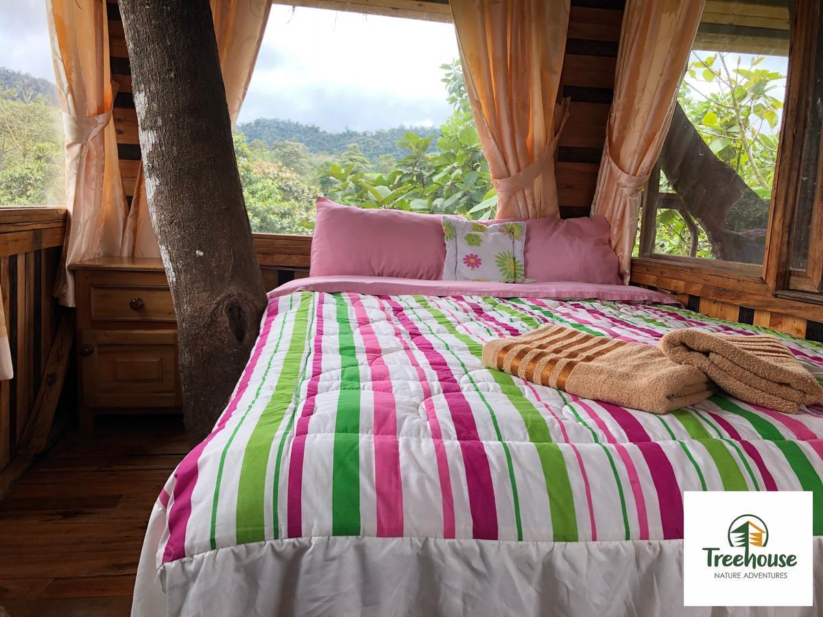 Eden Treehouse Villa Mindo Kültér fotó