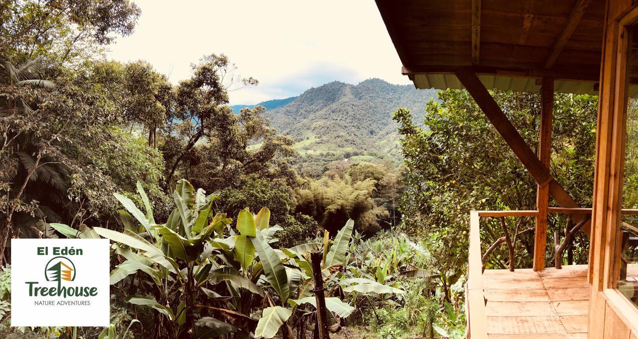 Eden Treehouse Villa Mindo Kültér fotó