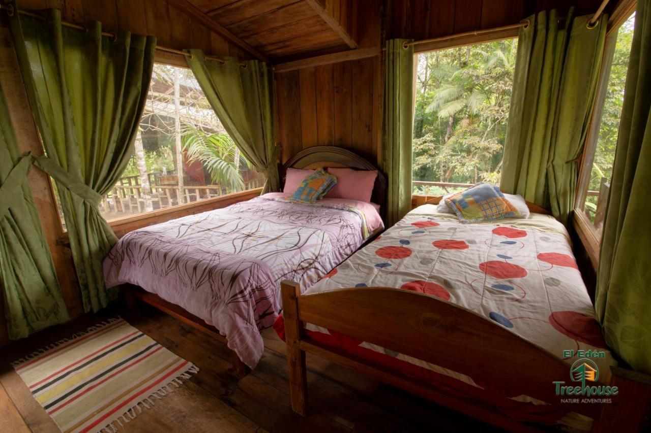 Eden Treehouse Villa Mindo Kültér fotó