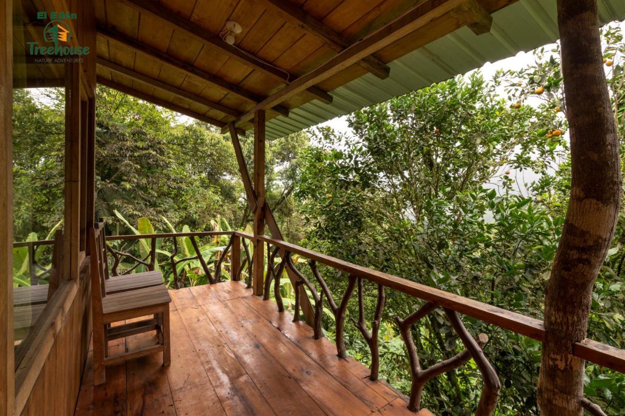 Eden Treehouse Villa Mindo Kültér fotó