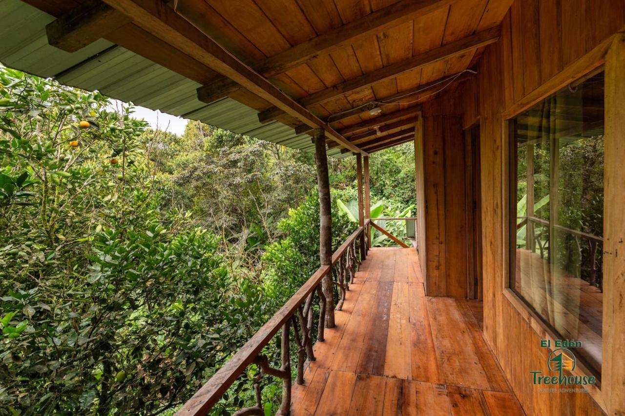 Eden Treehouse Villa Mindo Kültér fotó