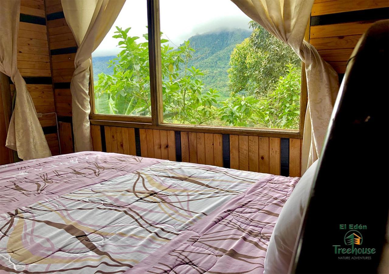 Eden Treehouse Villa Mindo Kültér fotó