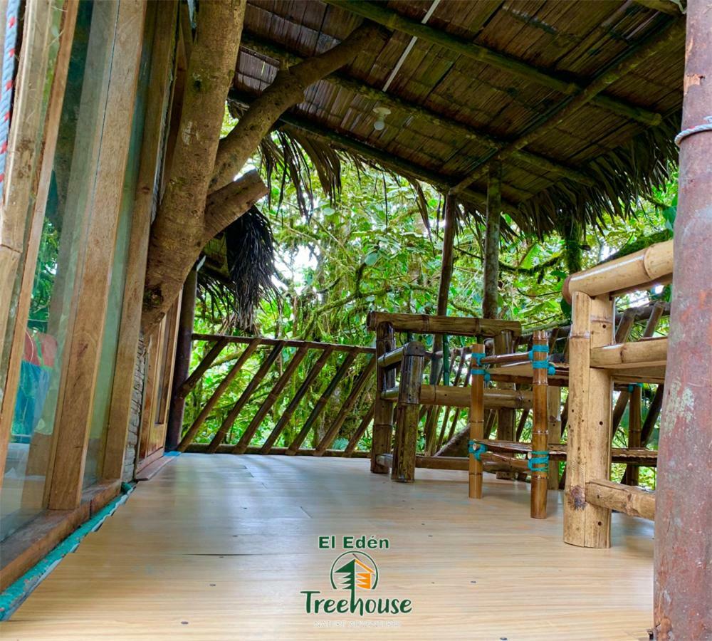 Eden Treehouse Villa Mindo Kültér fotó