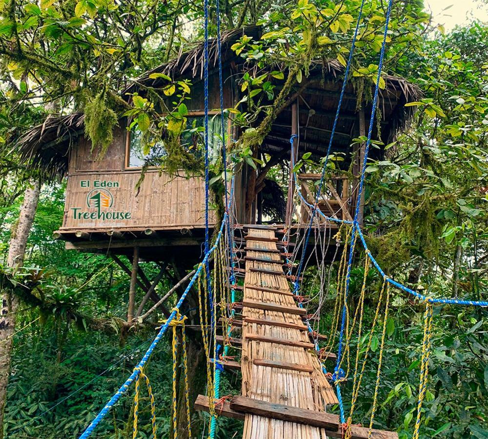 Eden Treehouse Villa Mindo Kültér fotó