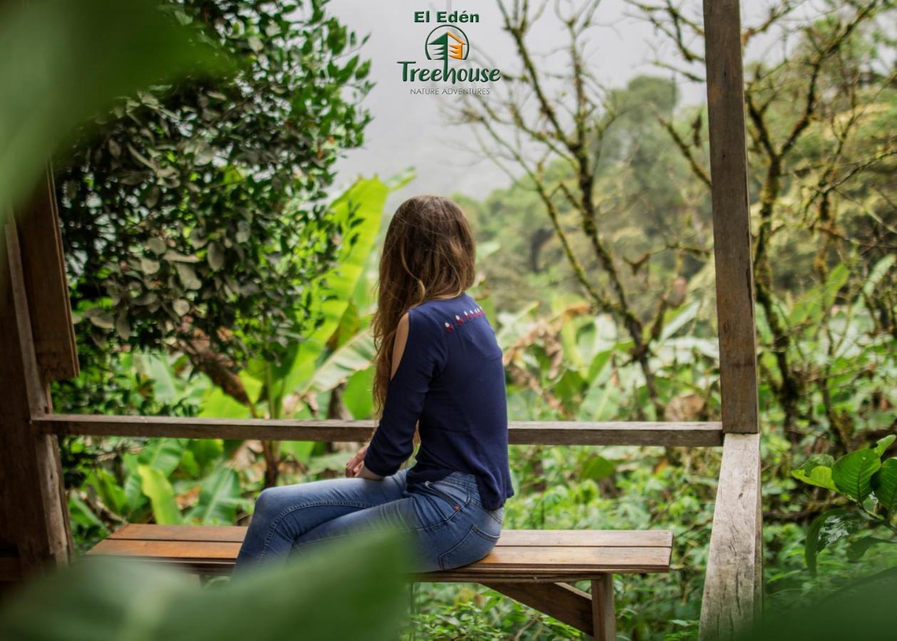 Eden Treehouse Villa Mindo Kültér fotó